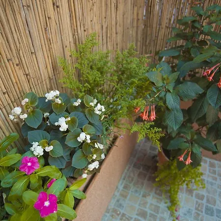 Apartment Rose Garden
